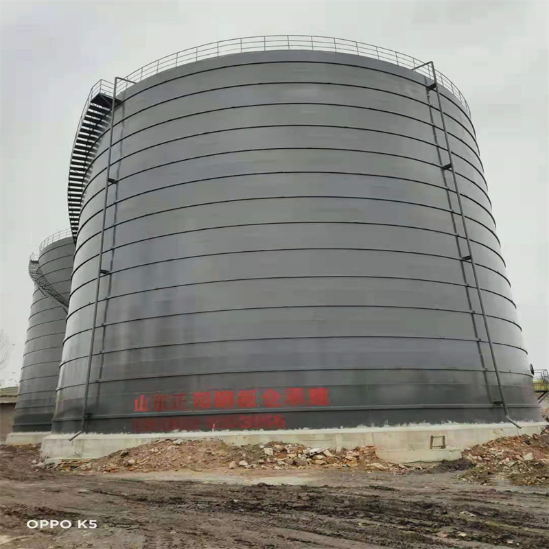 崖城镇3万吨大型钢板库