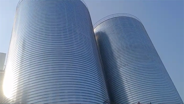 崖城镇2座混凝土高架卷板仓